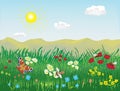 Spring and summer lanscape with meadow, grass, flowers, bees, butterfly, hills, sky, sun, clouds.