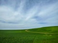 Spring or summer minimalist view of landscape with green meadow, road and blue sky with white clouds Royalty Free Stock Photo