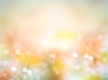 Spring summer natural blurred background illustration.