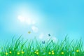 Spring or summer nature background, meadow and blue sky Royalty Free Stock Photo