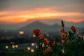 Spring-Summer Orange Sunset Royalty Free Stock Photo