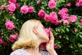 Spring and summer. Perfume and cosmetics. Woman in front of blooming roses bush. Blossom of wild roses. Secret garden Royalty Free Stock Photo