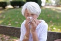 spring-summer period flow snivel tears and senior sneezes