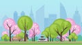 Spring summer public city park with sakura trees vector illustration.