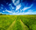 Spring summer rural road in green field landscape Royalty Free Stock Photo