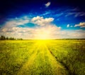 Spring summer rural road in green field landscape Royalty Free Stock Photo