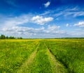 Spring summer - rural road in green field scenery lanscape Royalty Free Stock Photo