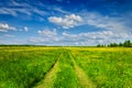 Spring summer - rural road in green field scenery lanscape Royalty Free Stock Photo