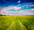 Spring summer - rural road in green field scenery lanscape Royalty Free Stock Photo