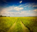 Spring summer - rural road in green field scenery Royalty Free Stock Photo