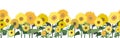 Horizontal seamless border with sunflowers Royalty Free Stock Photo