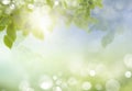 Spring or summer season abstract nature background Royalty Free Stock Photo