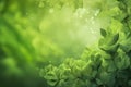 Spring or summer season abstract nature blurred background Royalty Free Stock Photo