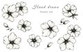 Spring and summer set of flowers isolated on white, botanic illustration of monochrome floral collection, beautiful black floral