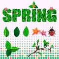 Spring and summer set of text, flowers, leaves and Ladybug