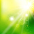 Spring summer sunlight flare abstract green color background. Vector Royalty Free Stock Photo