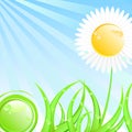 Spring or summer sunny illustration Royalty Free Stock Photo