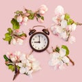 Spring and summer time. alarm clock and flowers of apple tree Royalty Free Stock Photo