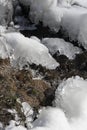 Spring sunlit streamlet among ice and snow