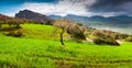 Spring sunny day in almond farm near lake Rosamarina