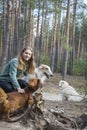 In the spring, on a sunny day, a girl with a ginger dog is playing on a log in the forest, and a Russian greyhound is standing Royalty Free Stock Photo