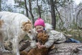 In the spring, on a sunny day, a girl with a ginger dog is playing on a log in the forest, and a Russian greyhound is standing Royalty Free Stock Photo