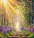 Spring sunny summer forest Royalty Free Stock Photo