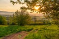 Spring sunrise in a spring field with green grass, a path with tire marks, the sun comes out from behind the trees. Village in the