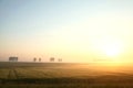 Spring sunrise over a field of grain