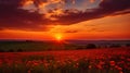 Spring sunset with orangepink shades above the fields Royalty Free Stock Photo