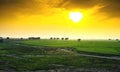 Spring sunset over green fields Royalty Free Stock Photo