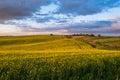 Spring sunset rapeseed yellow blooming fields view, blue sky with clouds in evening sunlight. Natural seasonal, good weather, Royalty Free Stock Photo