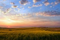 Spring sunset rapeseed yellow blooming fields view, blue sky with clouds in evening sunlight. Natural seasonal, good weather, Royalty Free Stock Photo