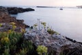 Spring sunset sea rocky coast landscape with small sandy beach and small green plants. Mediterranean coast at sunset with rocks