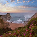 Spring sunset sea rocky coast landscape with small sandy beach and pink flowers in front (Arnia Beach, Spain, Atlantic Ocean Royalty Free Stock Photo