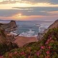 Spring sunset sea rocky coast landscape with small sandy beach and pink flowers in front (Arnia Beach, Spain, Atlantic Ocean Royalty Free Stock Photo