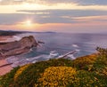 Spring sunset sea rocky coast landscape with small sandy beach and yellow flowers in front. Arnia Beach, Spain, Atlantic Ocean Royalty Free Stock Photo