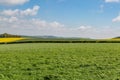 Spring Sussex Landscape