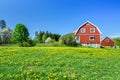 Spring on the Swedish field Royalty Free Stock Photo