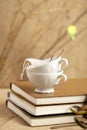 Spring tea breake, tea cups with diaries