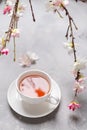 Spring tea. A cup of black tea with sakura branches. Side view, copy space. Poster, greeting card Royalty Free Stock Photo