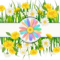 Spring template banner with fresh flowers bouquet dandelions and multi colored daisies, chamomiles, grass. Vector