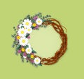 Spring template with shasta disy on wreath vector