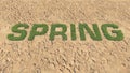 Spring text made from fresh grass among a barren land 1