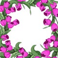 Spring text with Tulip flower. Frame of tulips. Place for your text. Vector illustration of the EPS10.