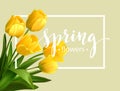 Spring text with tulip flower. Vector