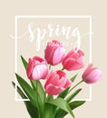 Spring text with tulip flower. Vector