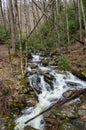 Spring Thaw in the Great Smokey Mountains Royalty Free Stock Photo