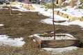 Spring thaw, snow melts on the backyard