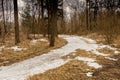 Spring thawed patches on forest paths